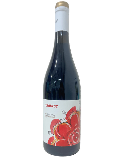 Rotwein Cesanese - 750 ml