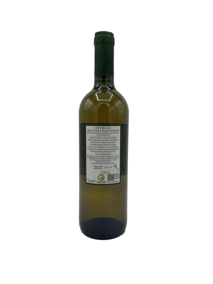 Ortrugo dei Colli Piacentini - Frizzante Weißwein - 750 ml